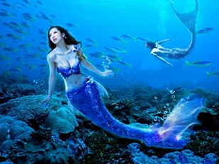 http://w.4000500521.com//upimg/seot/t20161103180128589.png