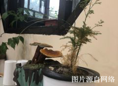 http://w.4000500521.com//upimg/seot/t20190701173553213.jpg