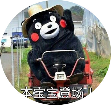 闪亮登场表情 闪亮登场表情